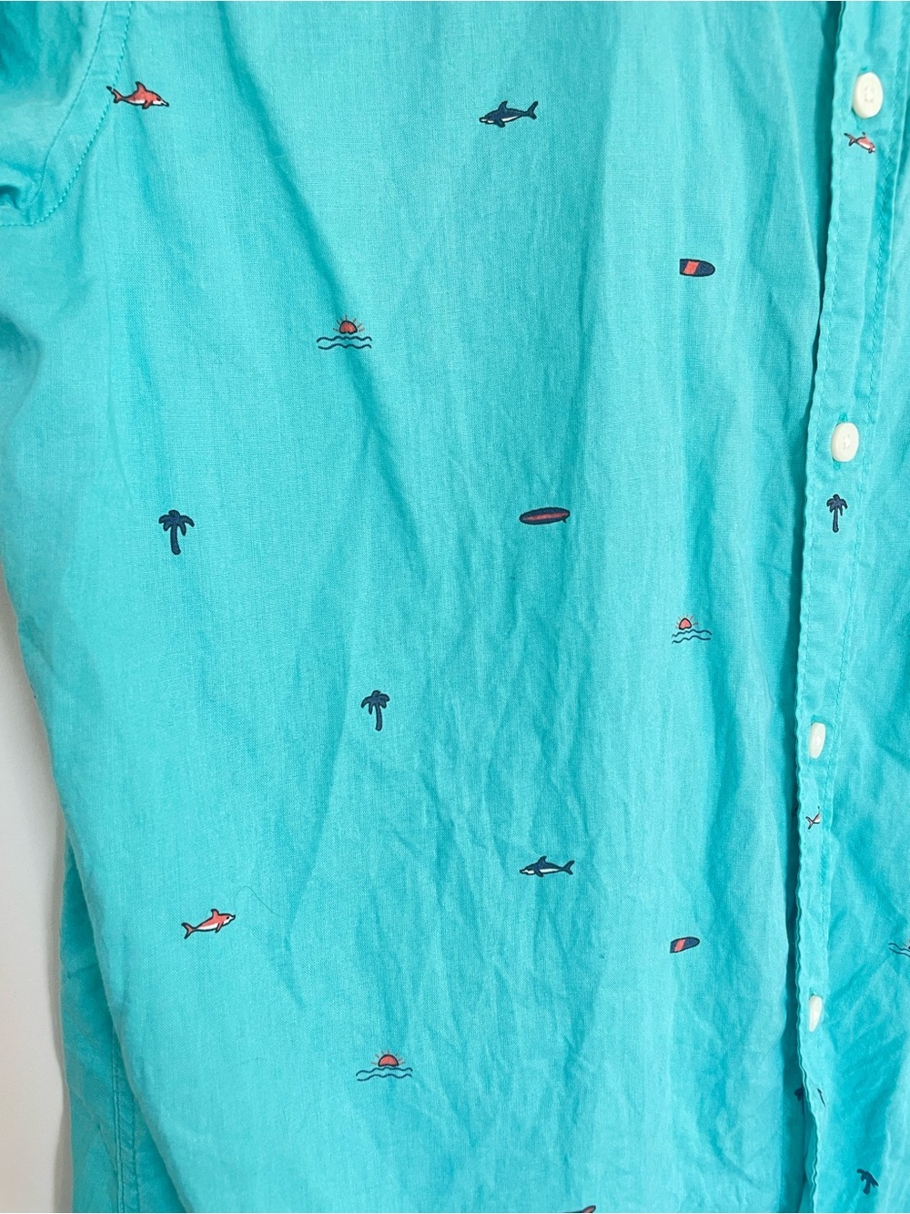 American Eagle Blue Fun Button Down Shirt - Picture 5 of 7
